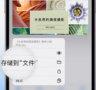 西乌珠穆沁apple维修中心分享iPhone文件应用中存储和找到下载文件