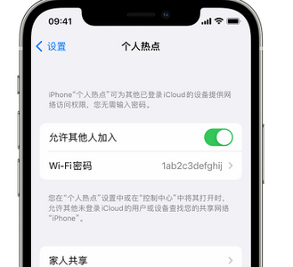 西乌珠穆沁apple服务站点分享iPhone上个人热点丢失了怎么办 