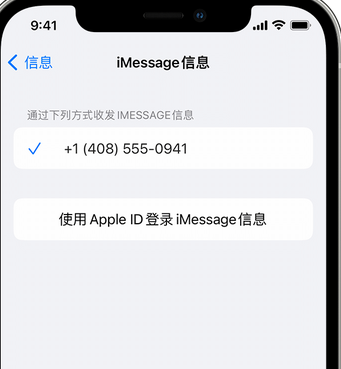 西乌珠穆沁apple维修iPhone上无法正常发送iMessage信息 