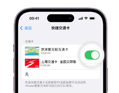 西乌珠穆沁apple维修点分享iPhone上更换Apple Pay快捷交通卡手绘卡面 