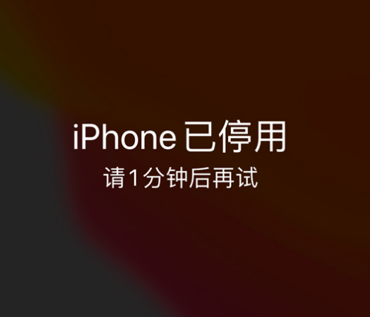 西乌珠穆沁苹果手机维修分享:iPhone 显示“不可用”或“已停用”怎么办？还能保留数据吗？ 