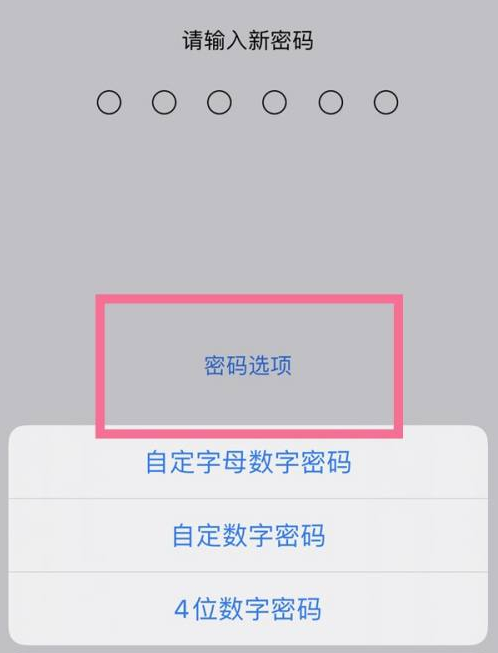 西乌珠穆沁苹果14维修分享iPhone 14plus设置密码的方法 