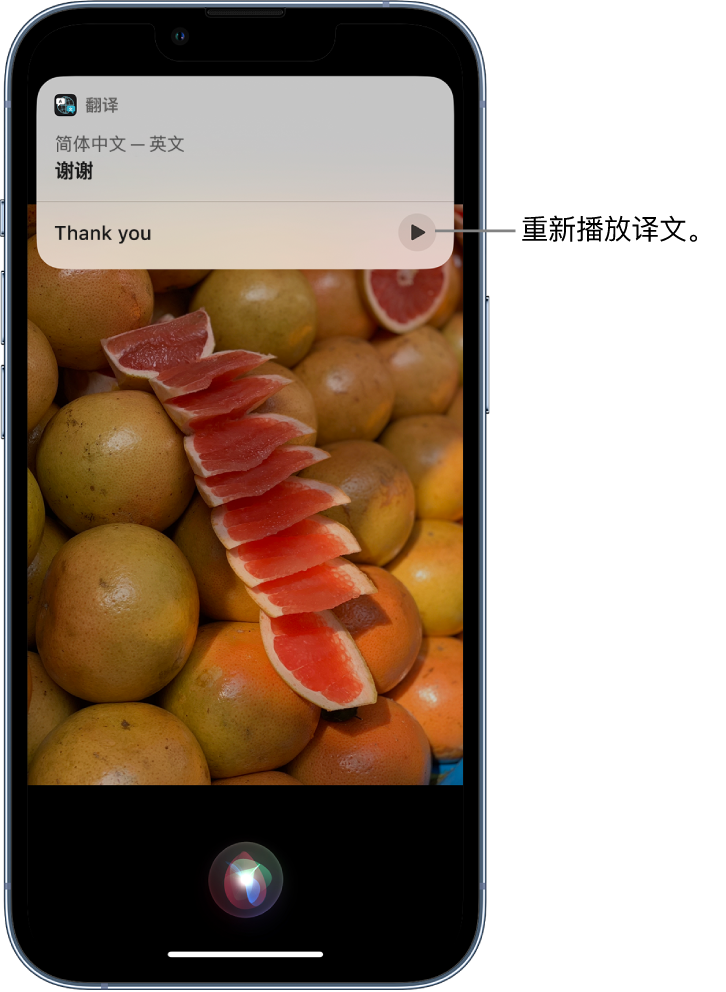 西乌珠穆沁苹果14维修分享 iPhone 14 机型中使用 Siri：了解 Siri 能帮你做什么 