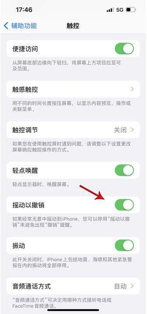 西乌珠穆沁苹果手机维修分享iPhone手机如何设置摇一摇删除文字 