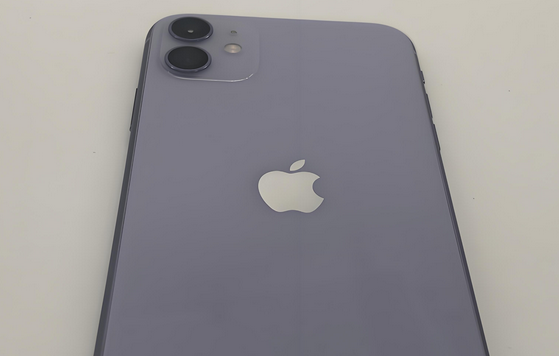西乌珠穆沁苹果11系统维修分享iPhone11手机系统崩溃无法开机如何解决
